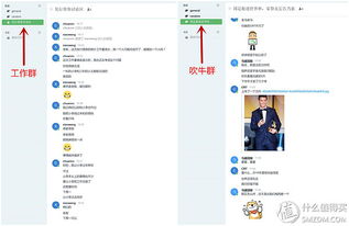 原創新人省小錢辦大事 群暉DS216 II網絡存儲NAS服務器搭建數據中心靠譜嗎？