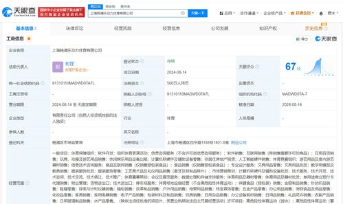 阿里橙獅上海落子，布局?jǐn)?shù)據(jù)處理與存儲(chǔ)服務(wù)新篇章